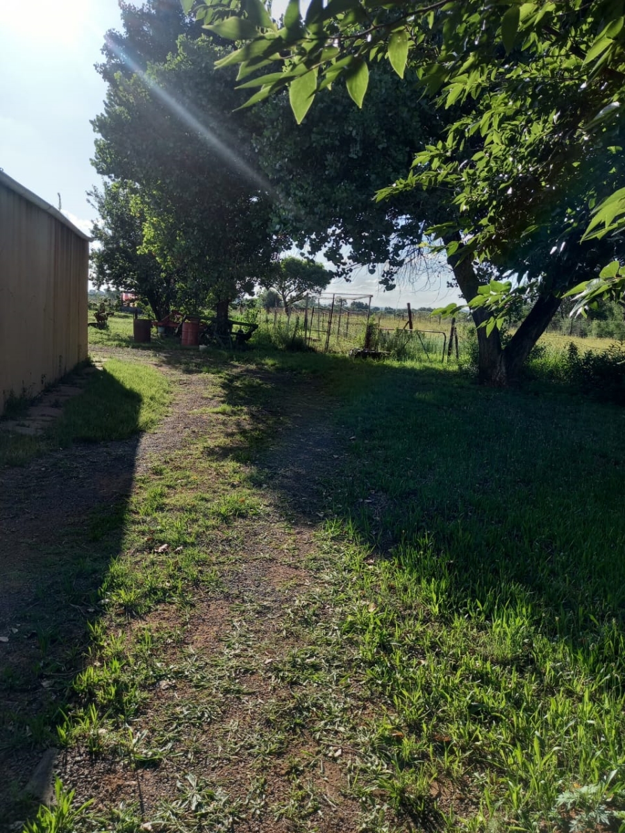 Commercial Property for Sale in Roodewal Free State